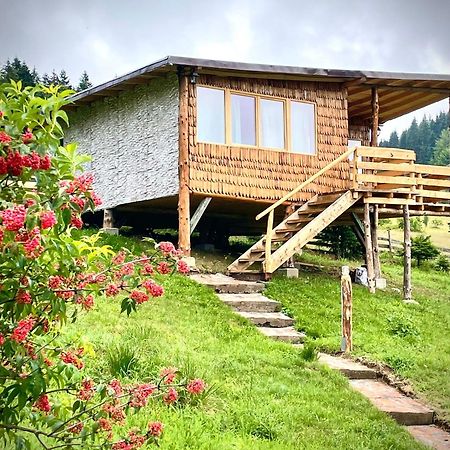 Harmonie Tree House Cotagges Chalet Predeal Trei Brazi Zewnętrze zdjęcie