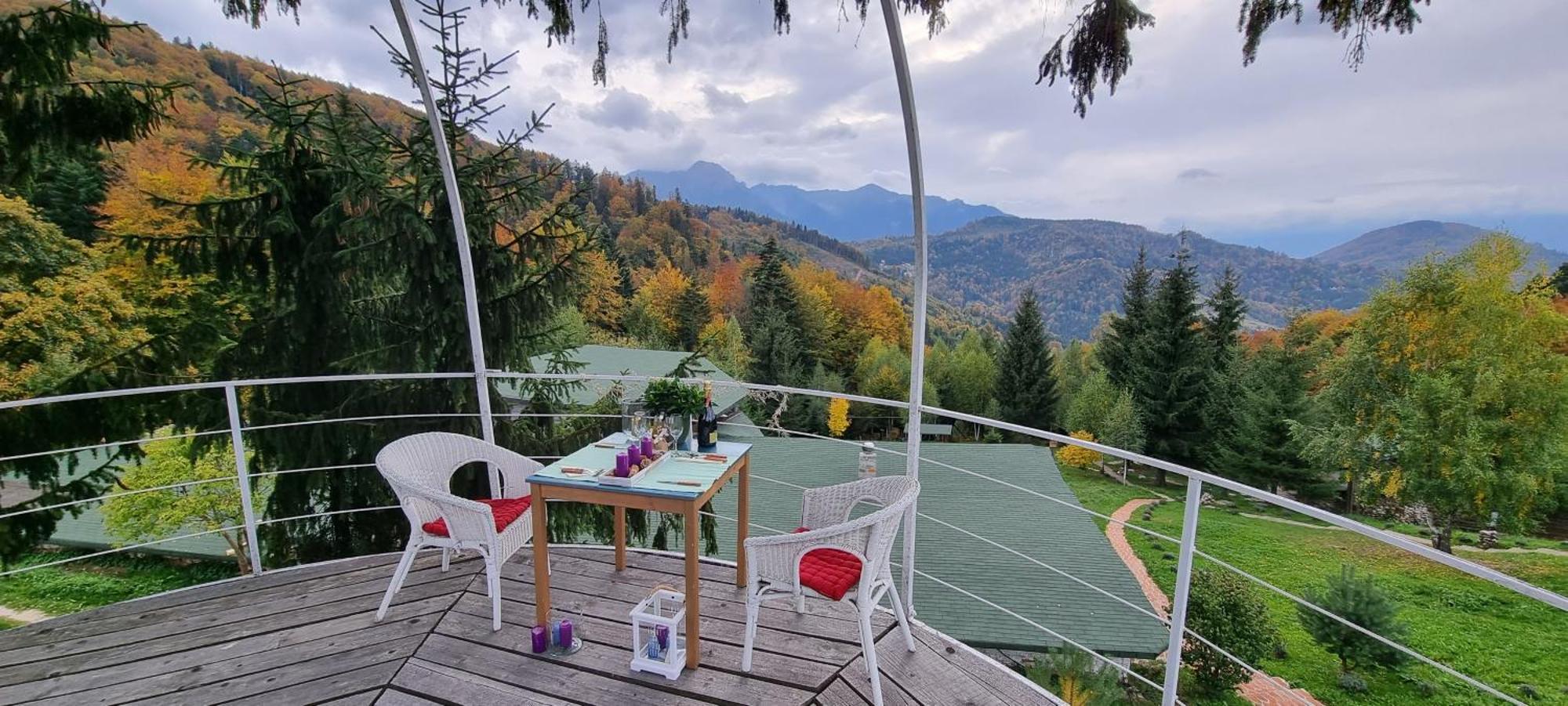 Harmonie Tree House Cotagges Chalet Predeal Trei Brazi Zewnętrze zdjęcie