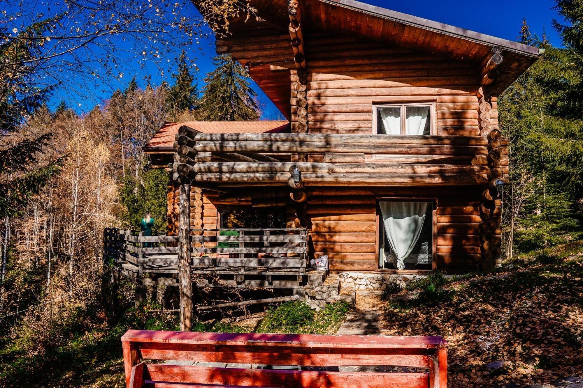 Harmonie Tree House Cotagges Chalet Predeal Trei Brazi Zewnętrze zdjęcie