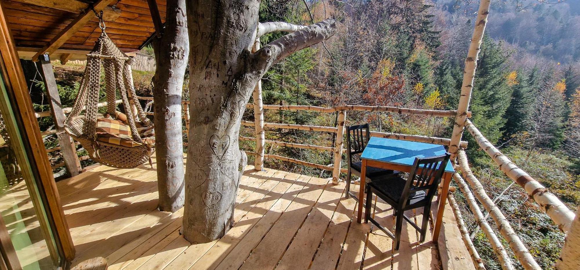 Harmonie Tree House Cotagges Chalet Predeal Trei Brazi Zewnętrze zdjęcie